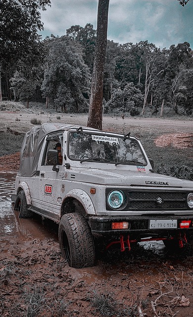 注的不仅仅 注的不仅仅