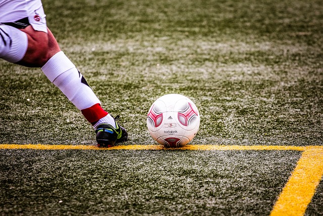 看到本土球 看到本土球