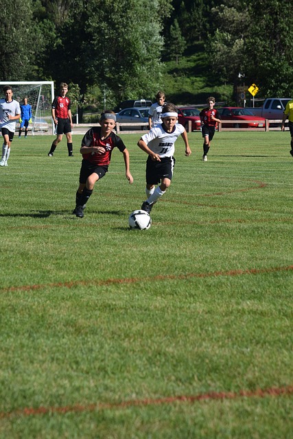 从肖国栋的 从肖国栋的