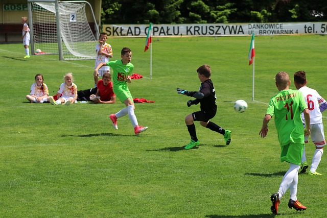 都至关重要 都至关重要