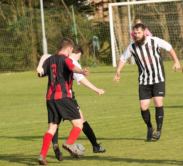 球队的另一 球队的另一